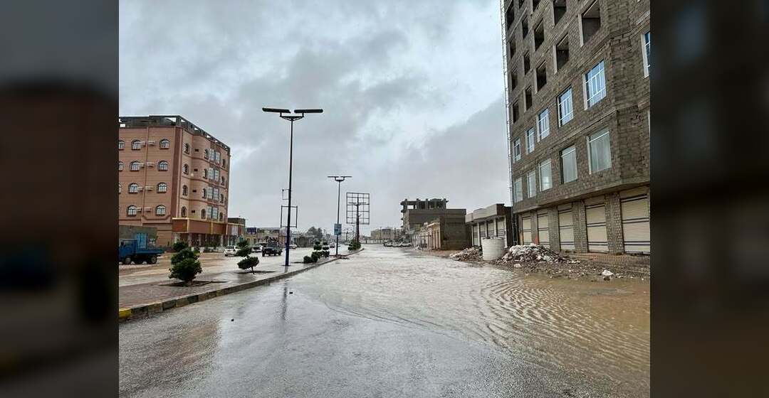 رئيس مجلس القيادة يتفقد مشاريع في المهرة