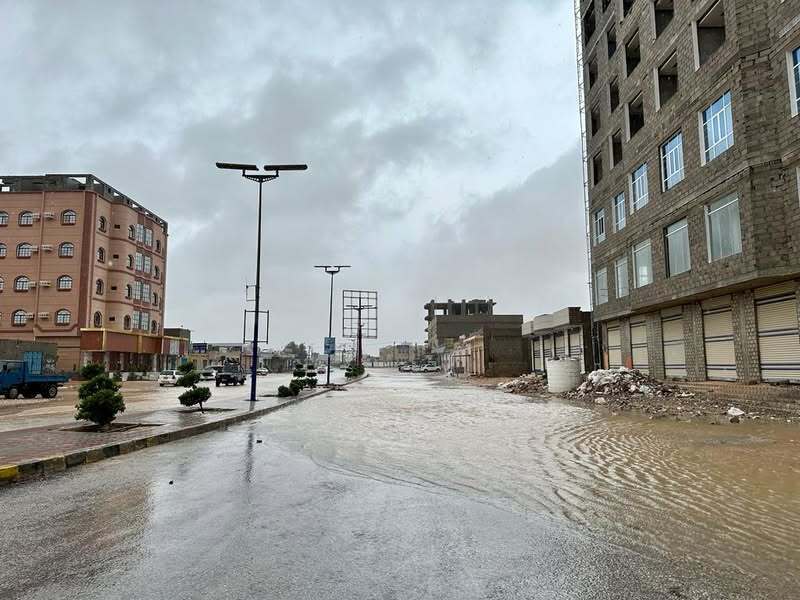 رئيس مجلس القيادة يتفقد مشاريع في المهرة